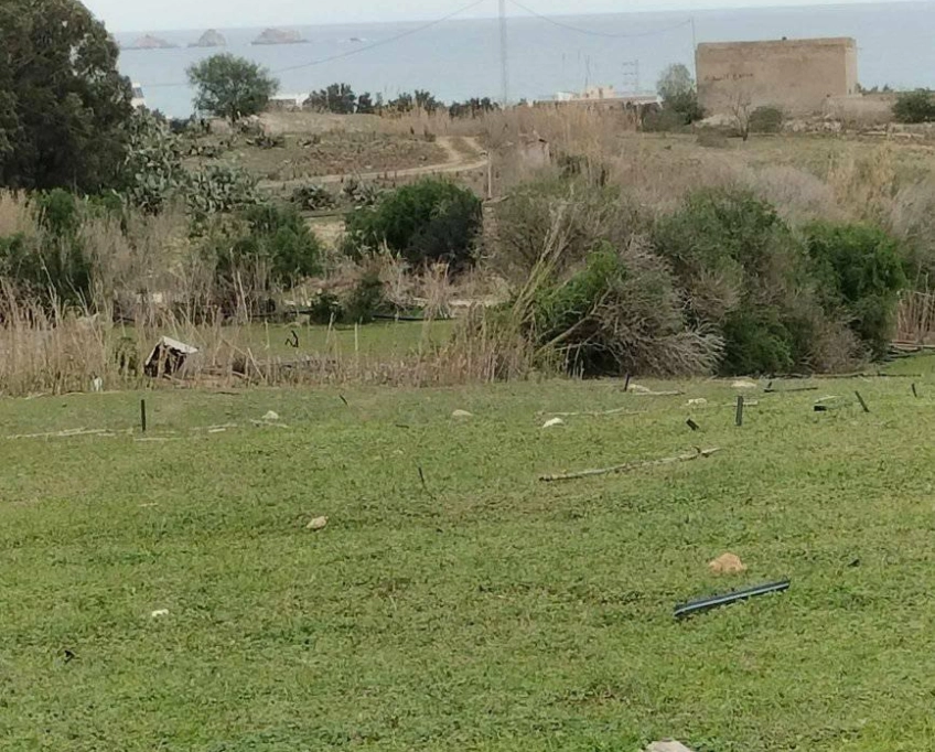 Terrain agricole près de la mer à vendre