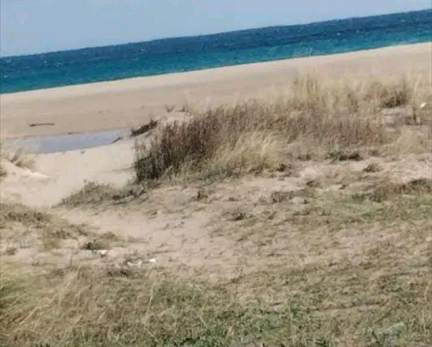 Terrain deuxième position de la mer