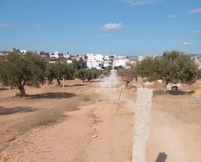 Terrain de 400 m² avec vue de mer à hammamet sud à vendre 51355351