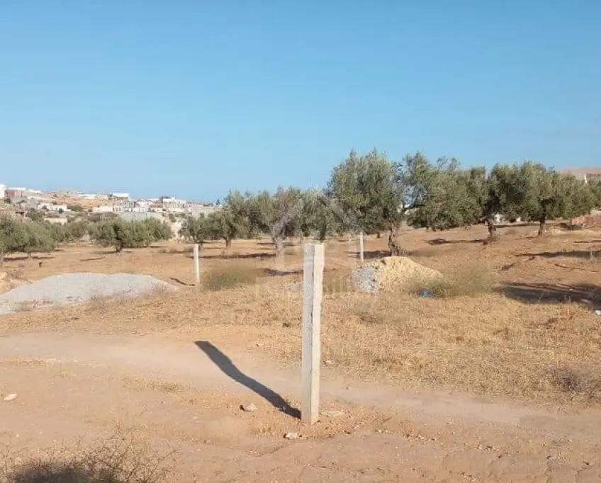 Terrain de 400 m² avec vue de mer à hammamet sud à vendre 51355351