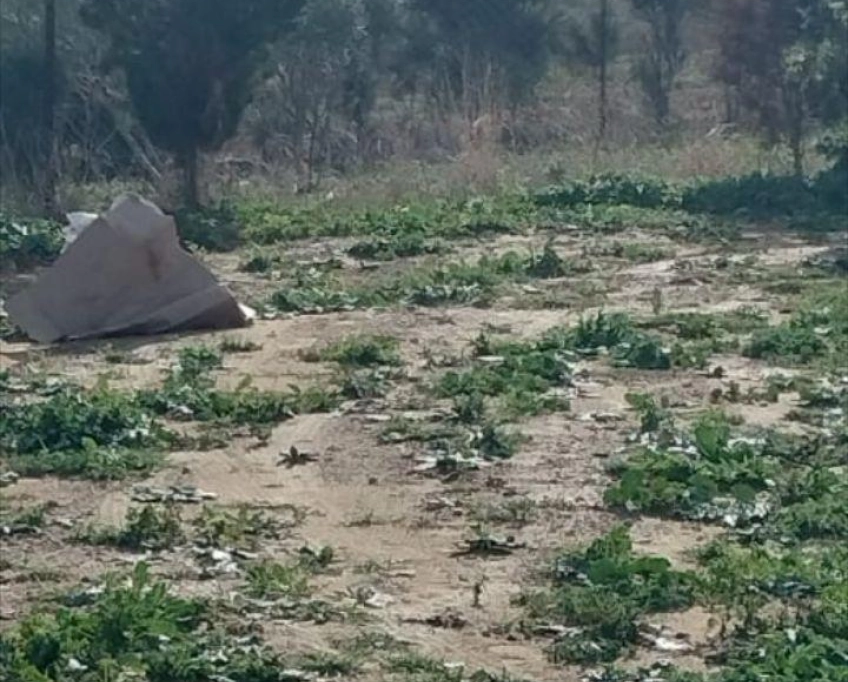 Terrain se trouve sur la route principal