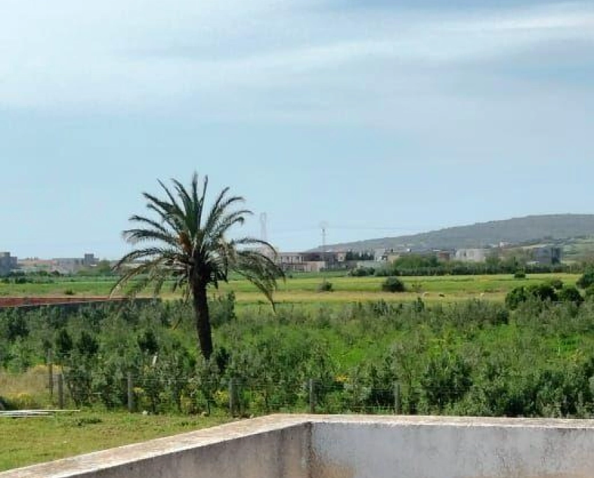 Terrain agricole contenant une villa