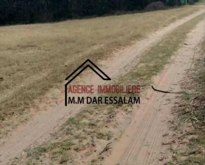 Terrain près de la route principal à vendre