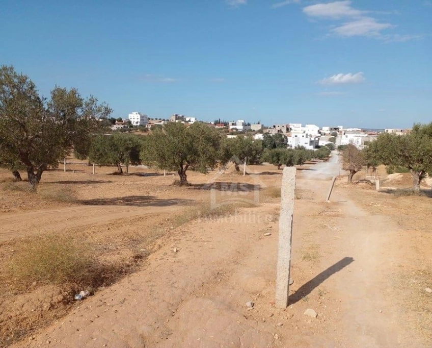 Terrain de 400 m² avec vue de mer à hammamet sud à vendre 51355351