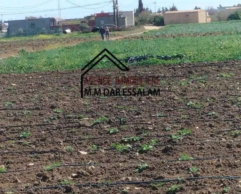 Terrain bonne occasion à vendre