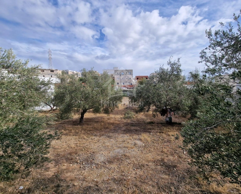 Terrain clôturé de 658 m² à hammamet nord à vendre 51355351