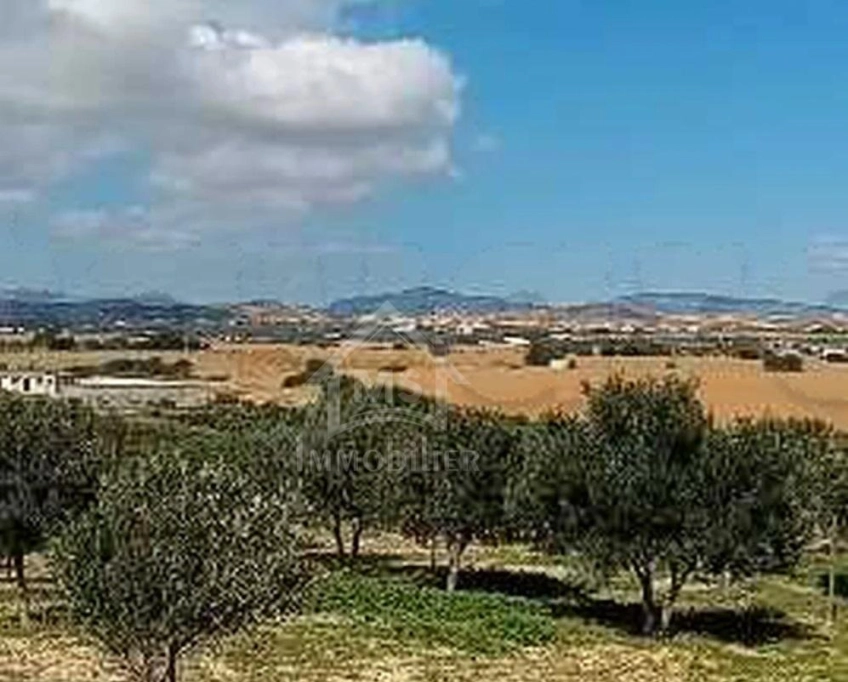 Terrain de 400 m² avec vue de mer à hammamet sud à vendre 51355351