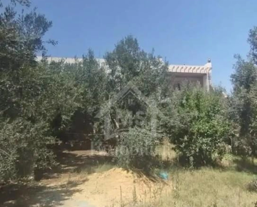 Une maison à vendre à 140 md à hammamet sud 51355351