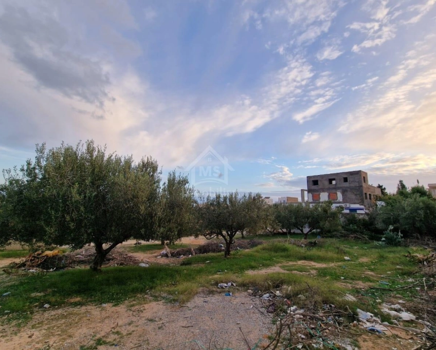 Terrain vue de mer de 1122 m² à vendre à hammamet nord 51355351