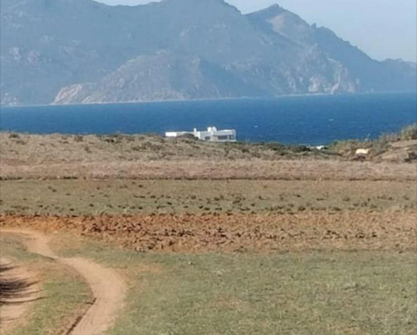 Terrain agricole près de la mer