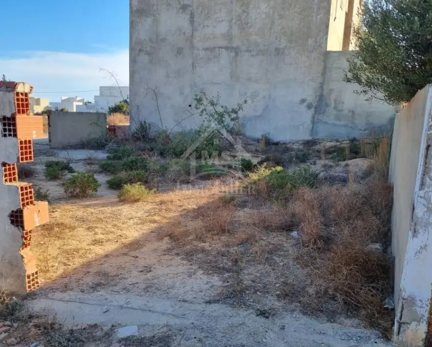 Terrain de 238 m² à vendre à hammamet nord 51355351