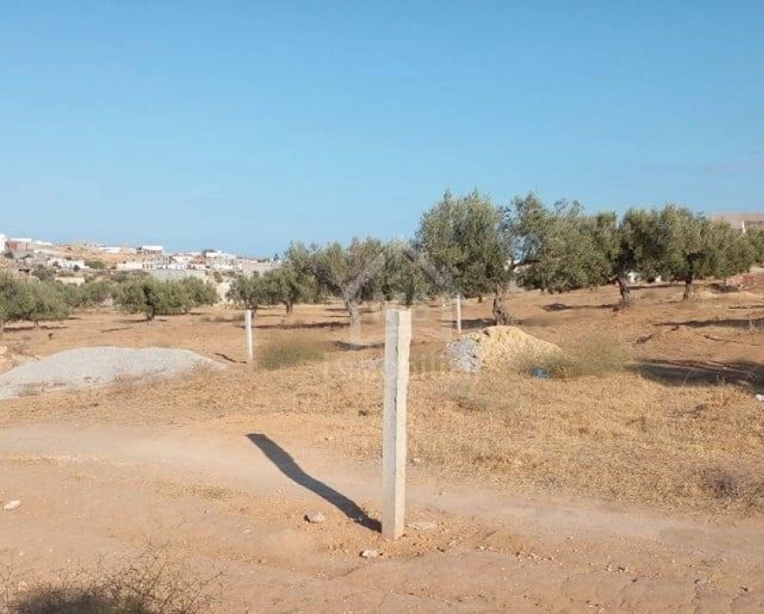 Terrain de 400 m² avec vue de mer à hammamet sud à vendre 51355351