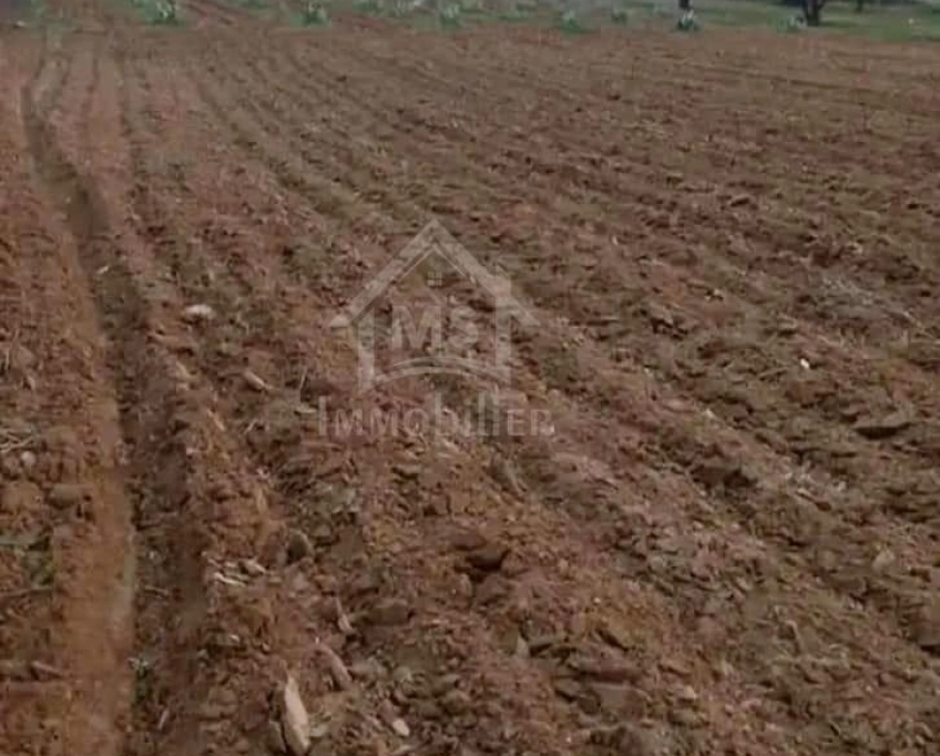 Terrain de 2000 m² à birbouragba à vendre 51355351