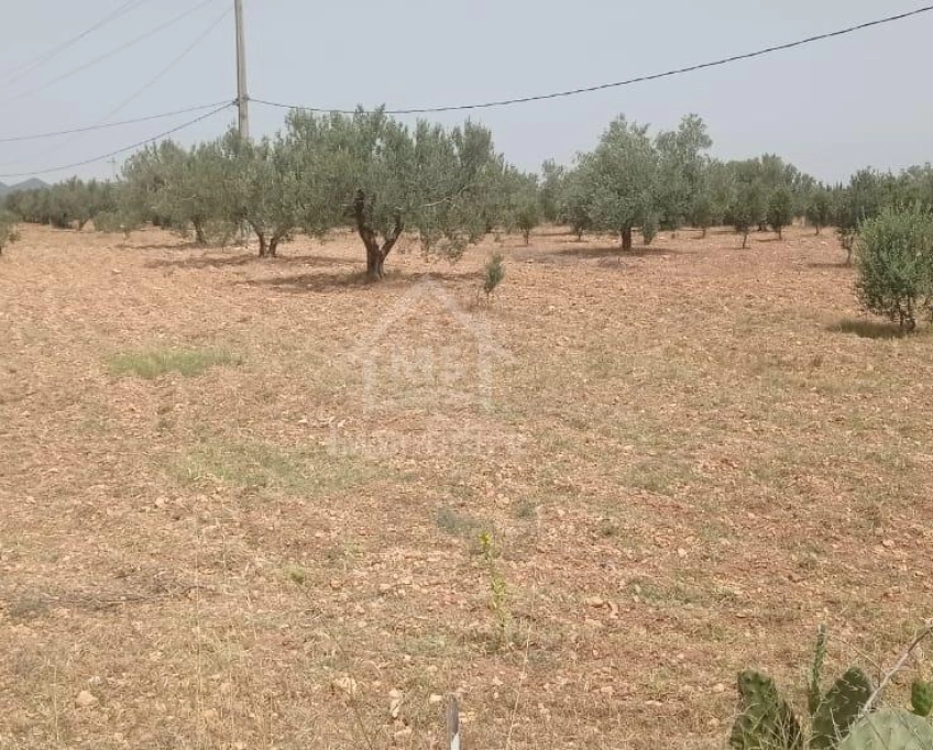 Terrain de 4800 m² à sidi mtir à vendre à 270 md 51355351