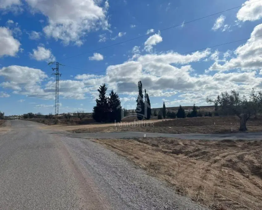 Terrain de 3789 m² à hammamet sud à vendre 51355351