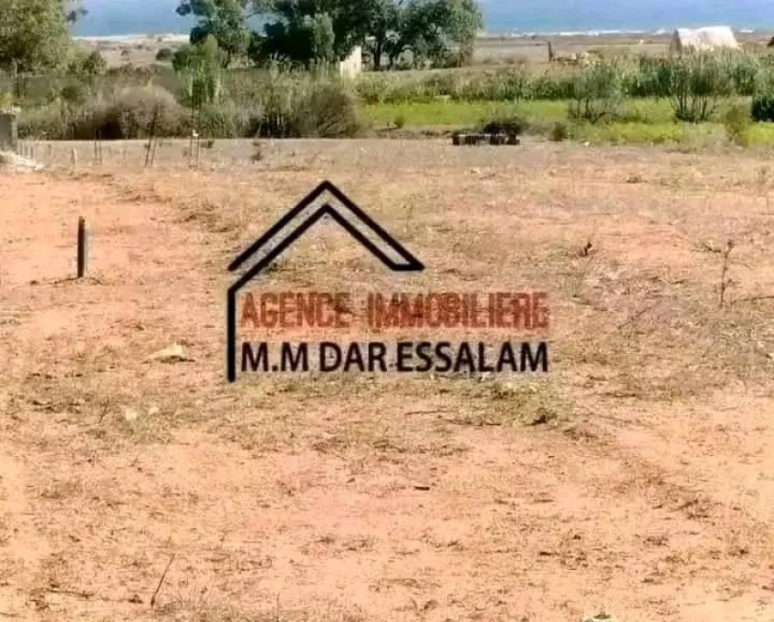 Des lots de terrain près de la plage à vendre