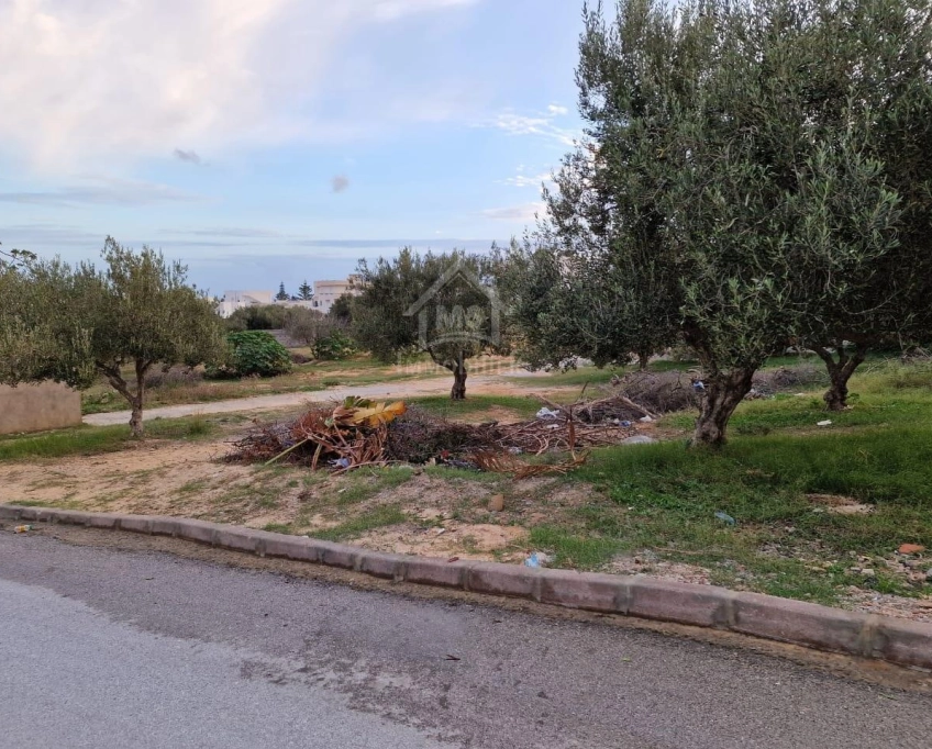 Terrain vue de mer de 1122 m² à vendre à hammamet nord 51355351