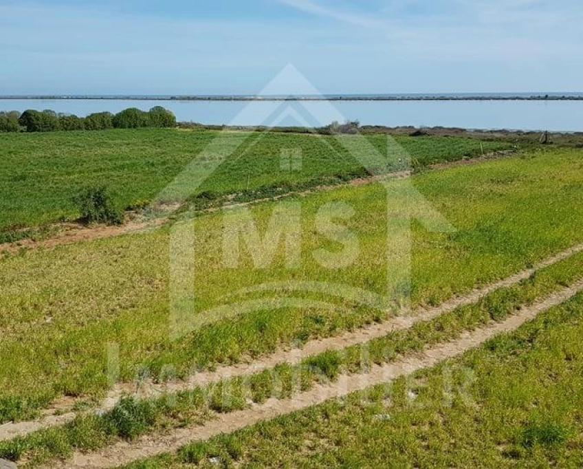 Terrain pieds dans l'eau avec 2 garages à korba à vendre 51355351