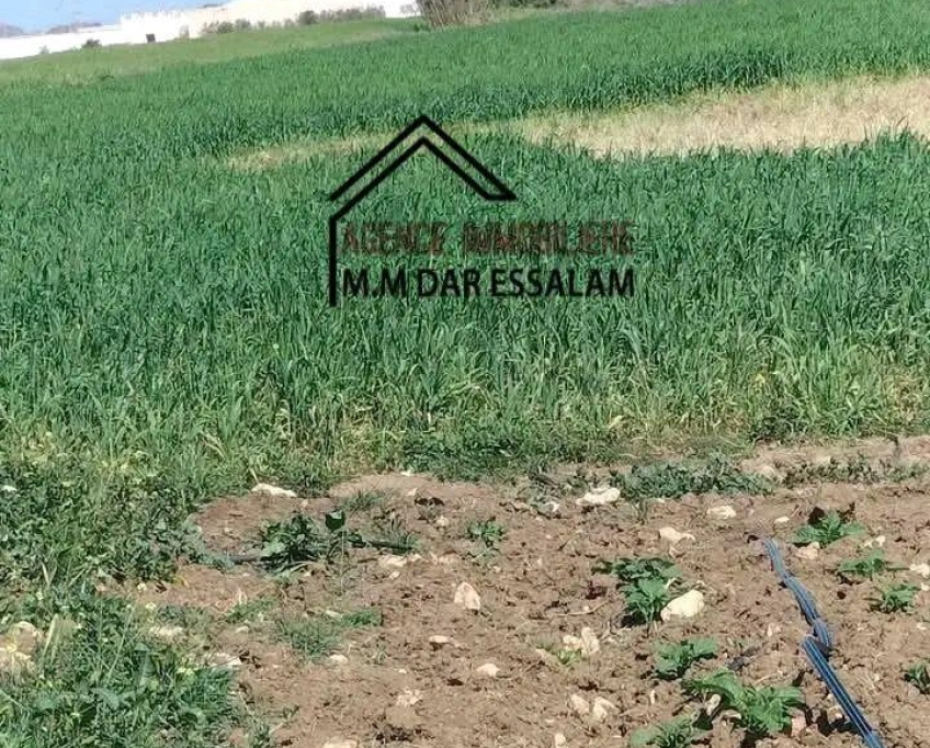 Terrain bonne occasion à vendre