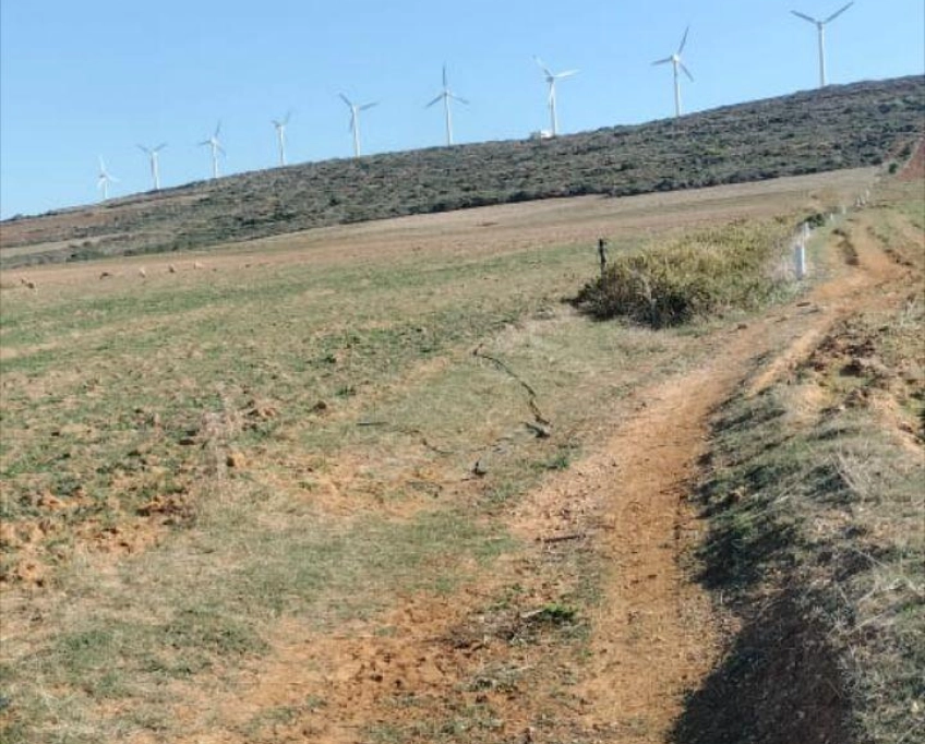 Terrain agricole près de la mer