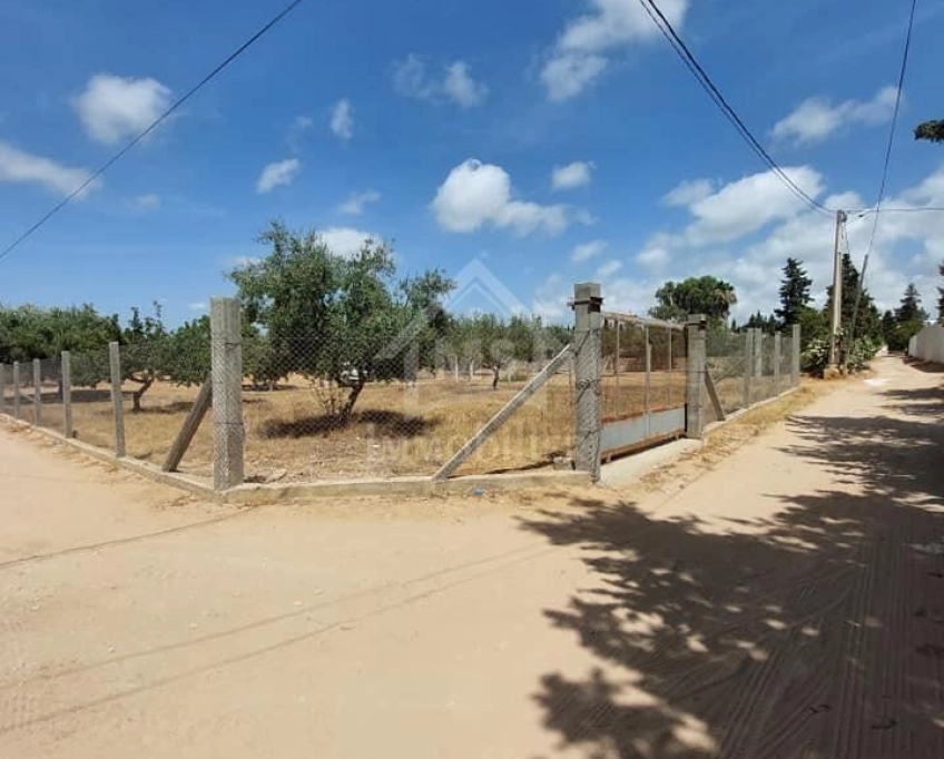 Terrain viabilisé de 600 m² à vendre à hammamet 51355351
