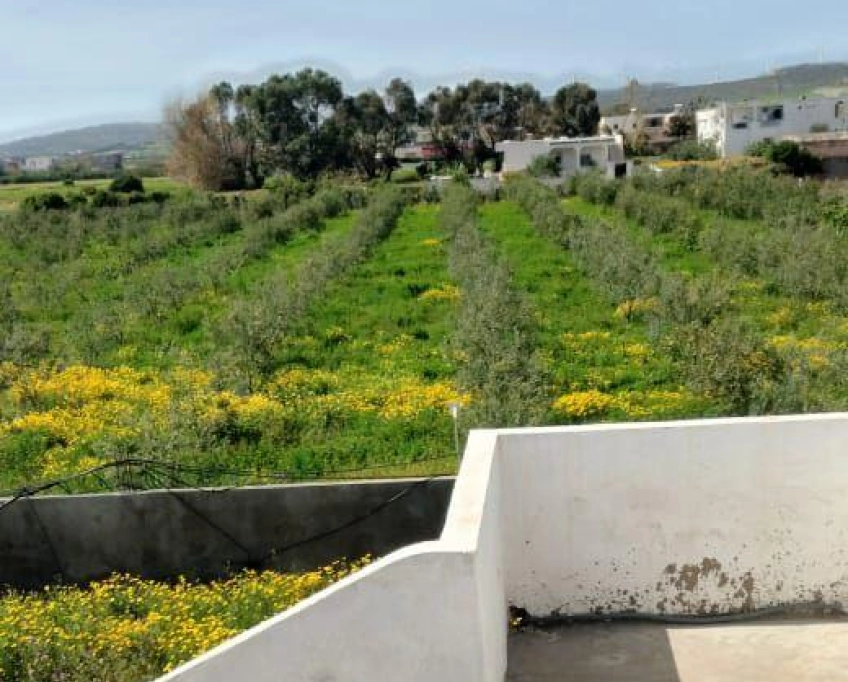 Terrain agricole contenant une villa