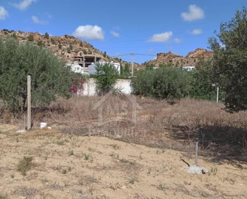 Terrain de 300 m² à hammamet sud à vendre 51355351