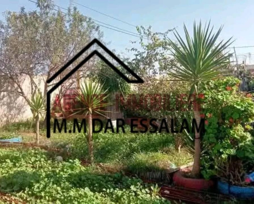 Villa avec un grand jardin près de la mer à vendre