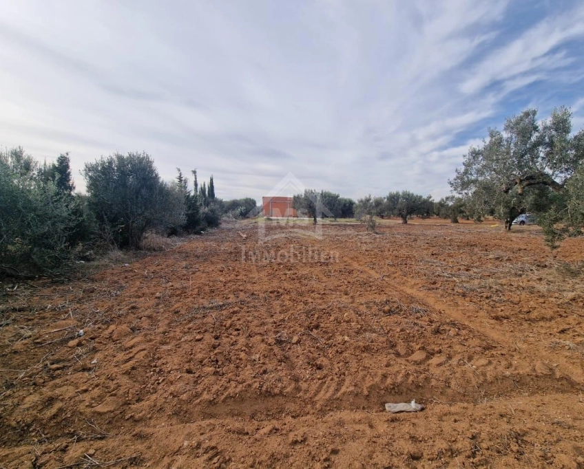 Terrain de 1000 m² à hammamet sud à vendre à 230 md 51355351