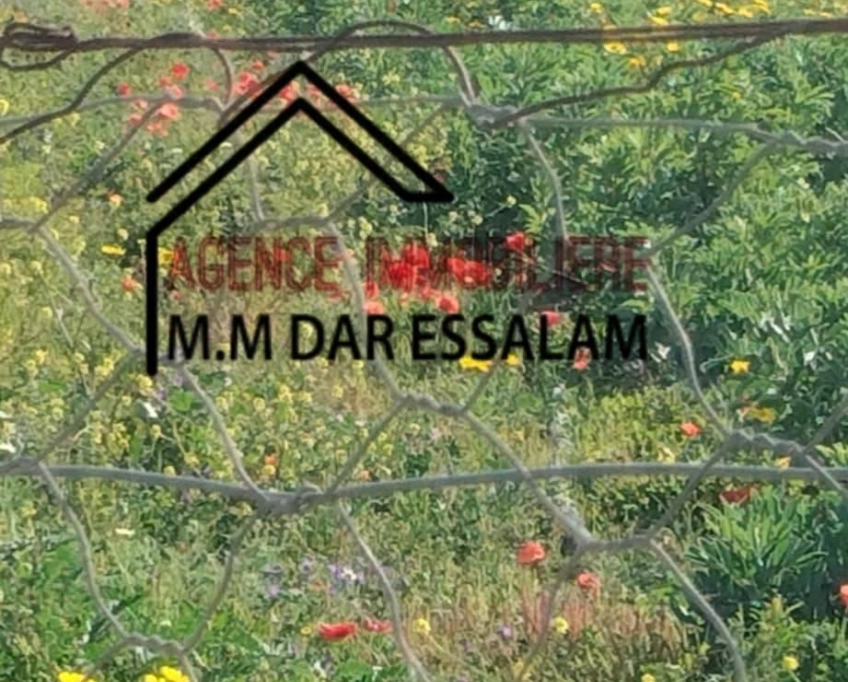 Terrain agricole contenant une maison à vendre