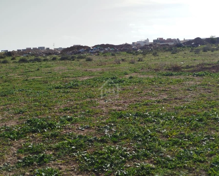Un terrain de 669 m² à maamoura à vendre 51355351