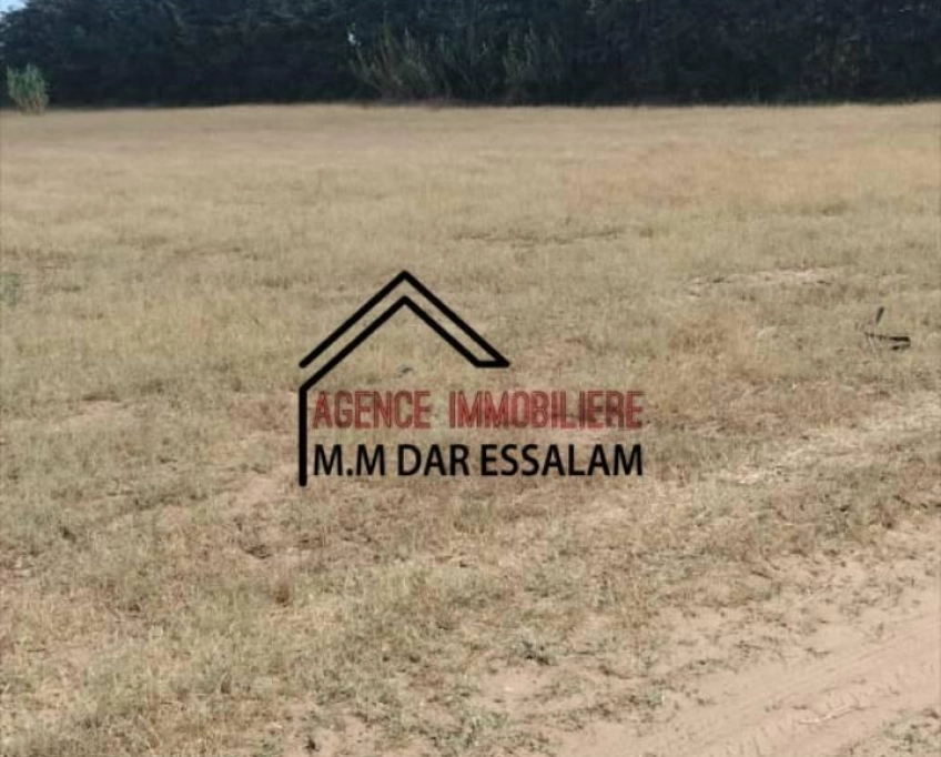 Terrain près de la route principal à vendre