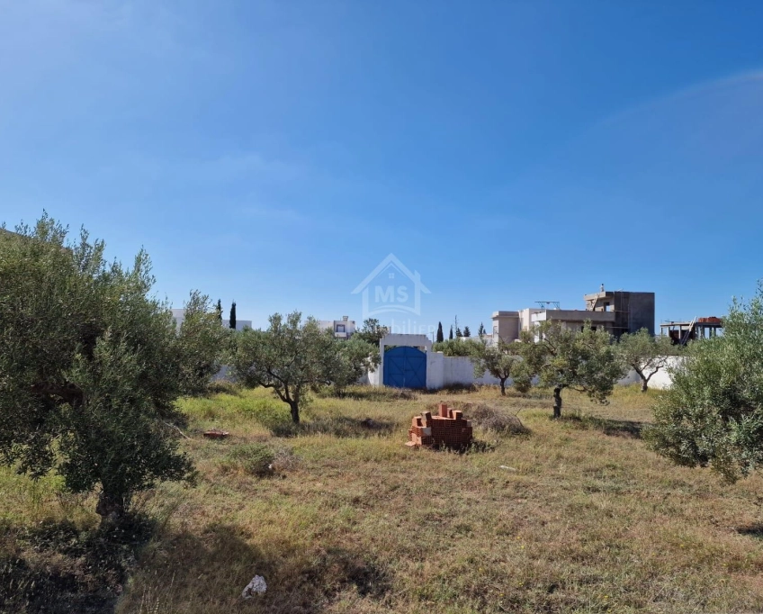 Superbe terrain de 1000 m² à mrezga à vendre 51355351