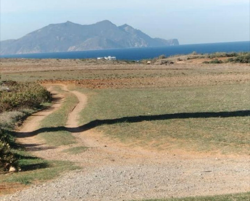 Terrain agricole près de la mer
