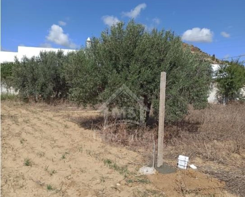 Terrain de 300 m² à hammamet sud à vendre 51355351