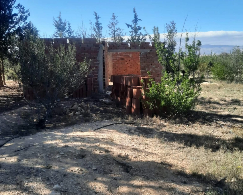 92089162/99679819 ferme agricole irriguée 3,8 ha à vendre – titre bleu individuel