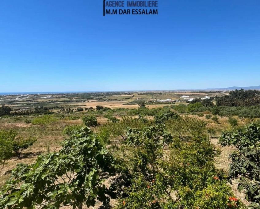 Terrain avec une vue agréable - Photo 8