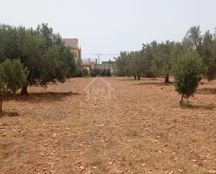 Terrain de 4800 m² à sidi mtir à vendre à 270 md 51355351