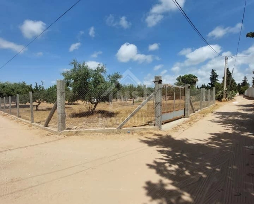 Terrain viabilisé de 600 m² à vendre à hammamet 51355351