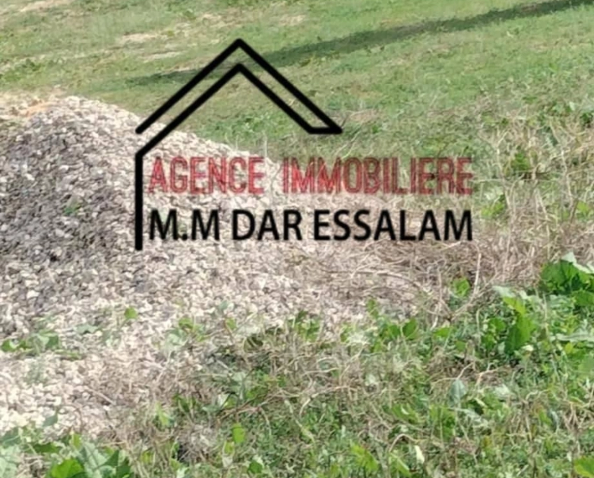 Un lot de terrain près de la plage sableuse à vendre