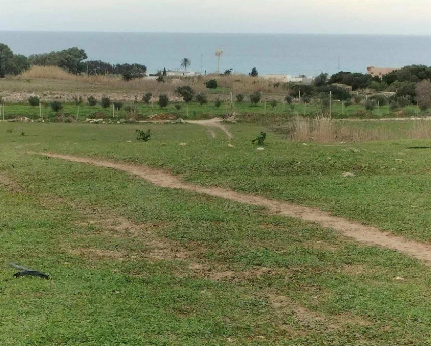 Terrain agricole près de la mer à vendre