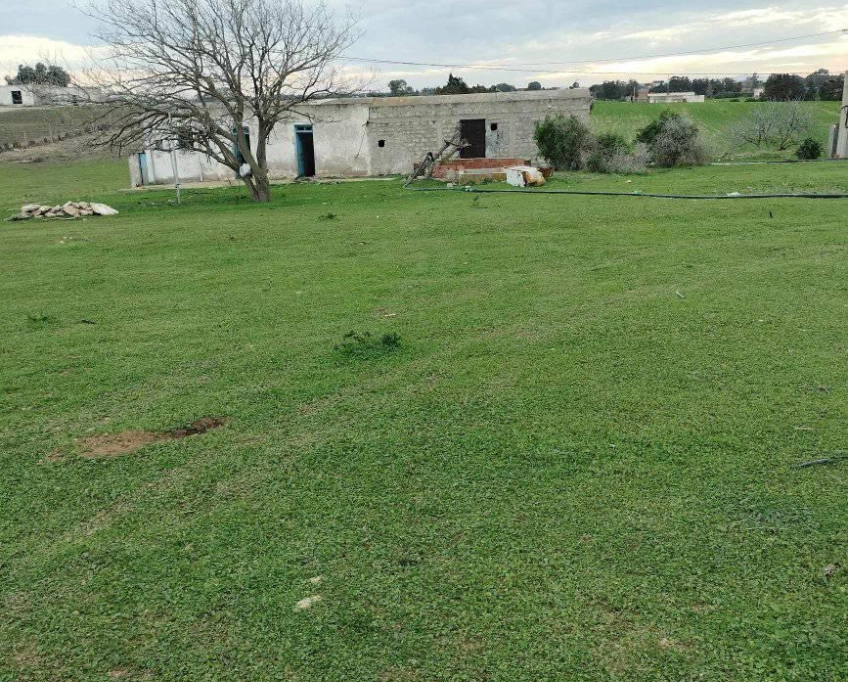 Terrain agricole près de la mer à vendre