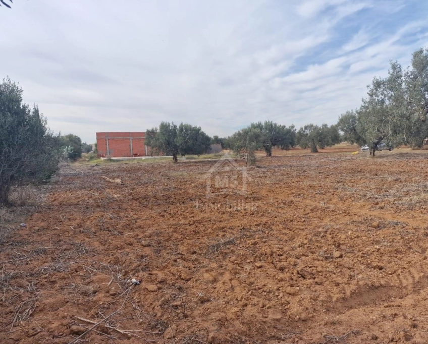 Terrain de 1000 m² à hammamet sud à vendre à 230 md 51355351
