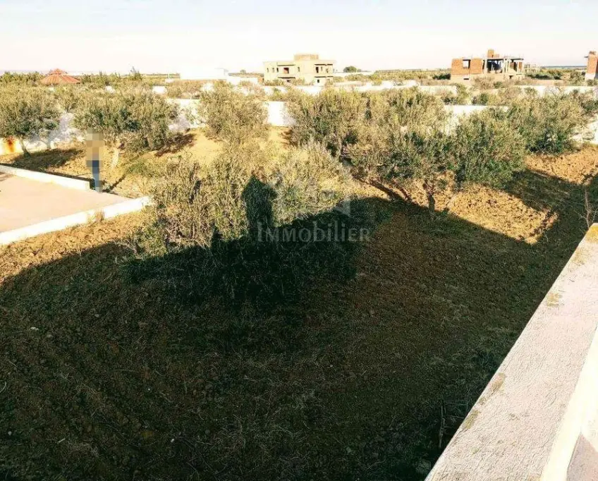 Un terrain de 2100 m² avec 1 studio à hammamet sud à vendre 51355351