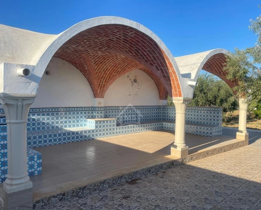 Une grande propriété à hammamet sud à vendre 51355351