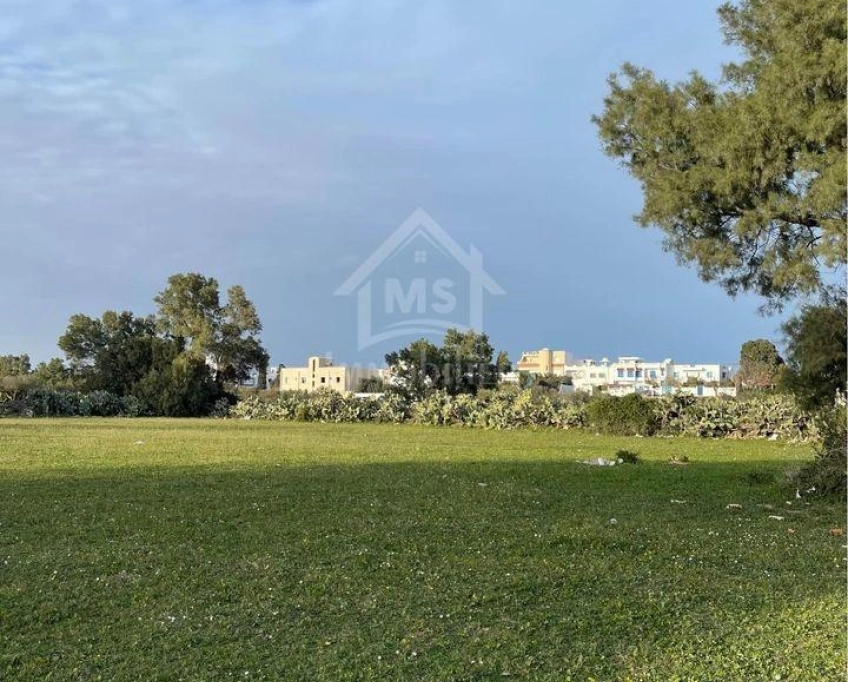 2 lots de terrain vue de mer à vendre à jinen béni khiar 51355351