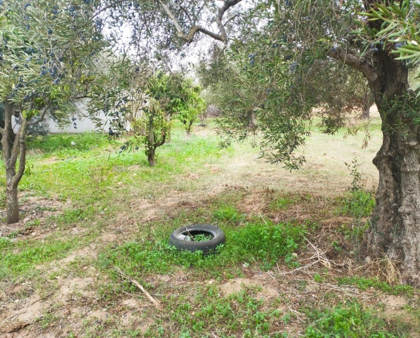 Terrain de 850 m² à vendre à hammamet sud 51355351