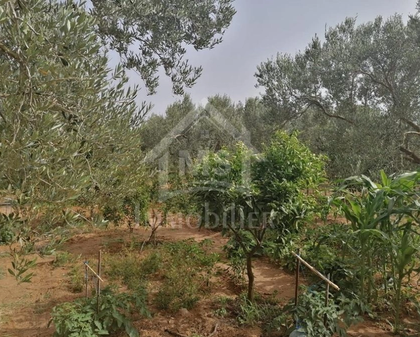 Terrain de 204 m² à mrezga à vendre 51355351