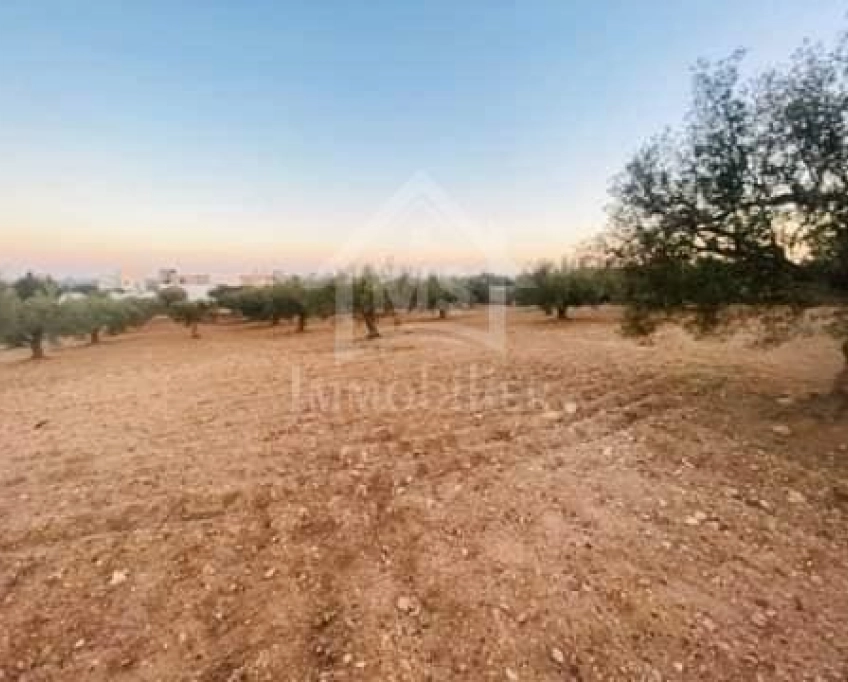 Terrain de 4018 m² à vendre à 200 dt/m² à hammamet sud 51355351