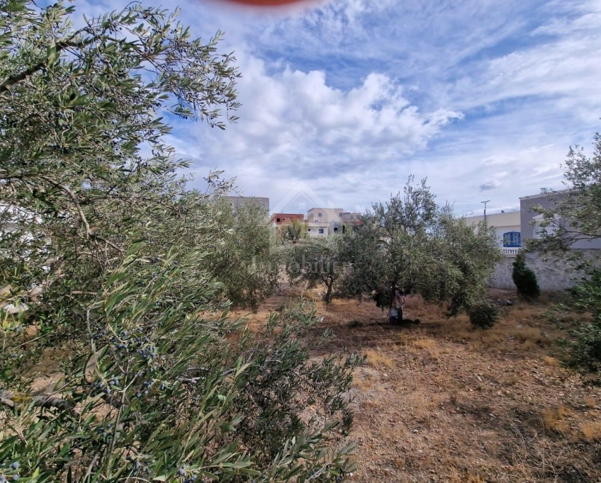 Terrain clôturé de 658 m² à hammamet nord à vendre 51355351